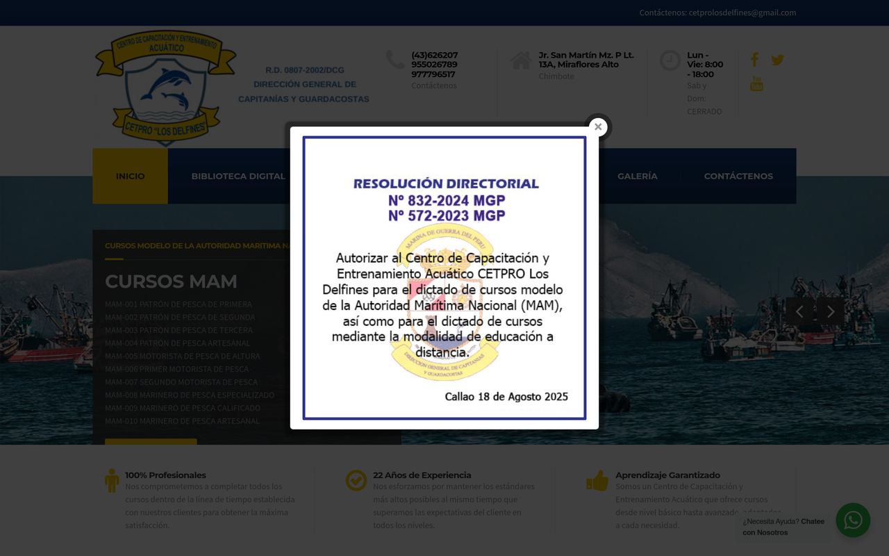 Sitio web de CETPRO Los Delfines